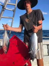 Image result for Euthynnus affinis