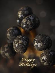 Attēlu rezultāti vaicājumam “Diderma effusum spores”