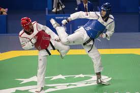 Image result for Taekwondo Athletes Program USA