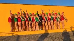 Image result for Potters Bar Synchronised Swimming Club