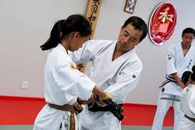 Image result for Dumfries Wado Ryu  Karate club
