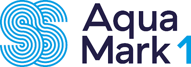 Image result for Morpeth Amateur Swimming Club