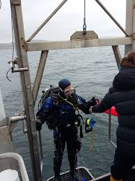 Image result for York University Sub Aqua Club