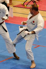 Image result for Orpington Shotokan Karate Club