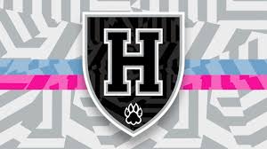 Image result for Haringey Greyhounds Ice Hockey Club