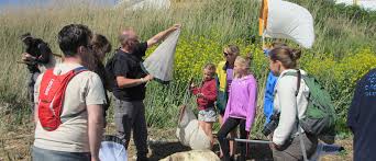 Image result for Liverpool Speke Garston Handball Club