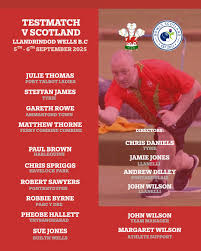 Image result for Brynhyfryd Bowls Club