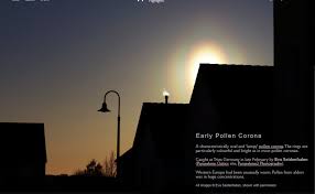 Attēlu rezultāti vaicājumam “pollen corona”