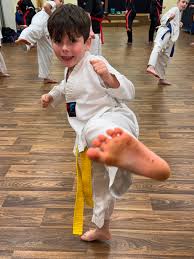 Image result for Maidenhead Karate Club