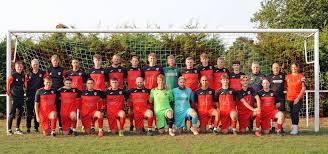 Image result for Verwood Town Netball Club