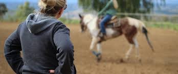 Image result for Elstead Riding Club