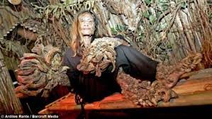 Image result for Lewandowsky-Lutz