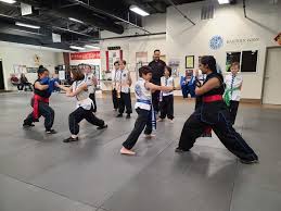 Image result for Dragon Wushu Club