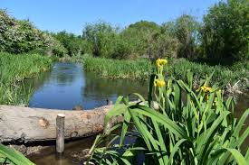 Image result for Hertfordshire Parkour Club