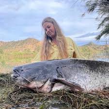 Image result for Silurus glanis