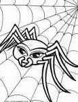 Spider coloring page