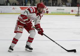 Image result for Swindon Panthers