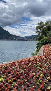 Image result for "Parco Ciani"
