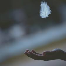 Image result for foto manter a calma