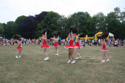 Image result for Castle Cary Cygnets Majorettes
