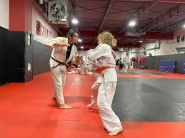 Image result for Worcester Taijutsu Kai Self Defence