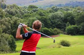 Image result for Bellingham Golf Club