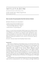 Attēlu rezultāti vaicājumam “Licea testudinacea plasmodium”