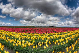 Image result for bad hdr