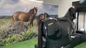 Image result for Buchan Group Riding For The Disabled