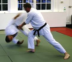 Image result for Epsom & Ewell Karate Club