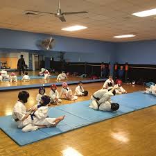 Image result for Taunton Karate academy