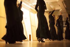 Image result for Flamenco Dance School