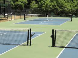 Image result for South Petherton Tennis Club