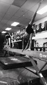 Image result for Acrobrats