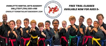Image result for Martial Arts University Charlotte