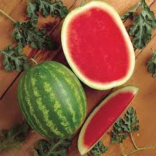 Afbeeldingsresultaat voor millionaire tomato