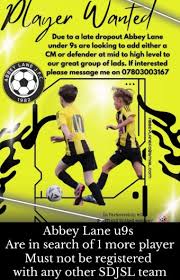 Image result for Abbey Lane Junior Football Club