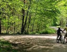 Image result for Epping Forest Mountain Bike Club