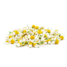 Attēlu rezultāti vaicājumam “Matricaria chamomilla flower”