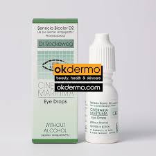 Image result for Cineraria maritima