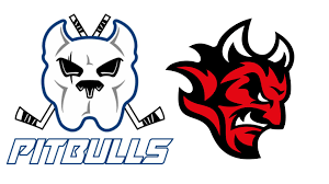 Image result for Cardiff Devils