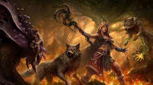 Image result for druid