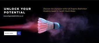 Image result for Dragons Junior Badminton Club