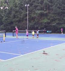 Image result for Harlington Tennis Club