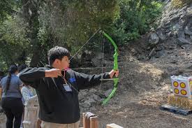 Image result for Lyme Valley Archers