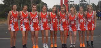 Image result for Sas Netball Club