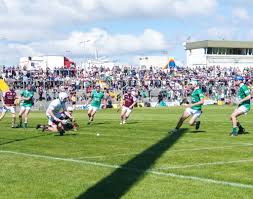 Image result for Causeway Hurling Club