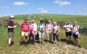 Image result for Mid Surrey Ramblers