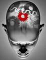 About Cognitive Behavioral Therapy