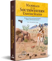 Kuvahaun tulos haulle Rochom